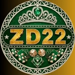 DZ22 Game