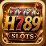 H789 Game