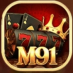 M91 Game